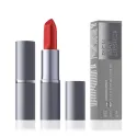 Rossetto cremoso mat n. 06
