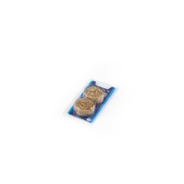 Spugne Rame Antibatteriche 2 Pz | SL Beauty
