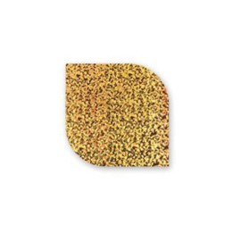Transfer Foil Oro per Nail Art