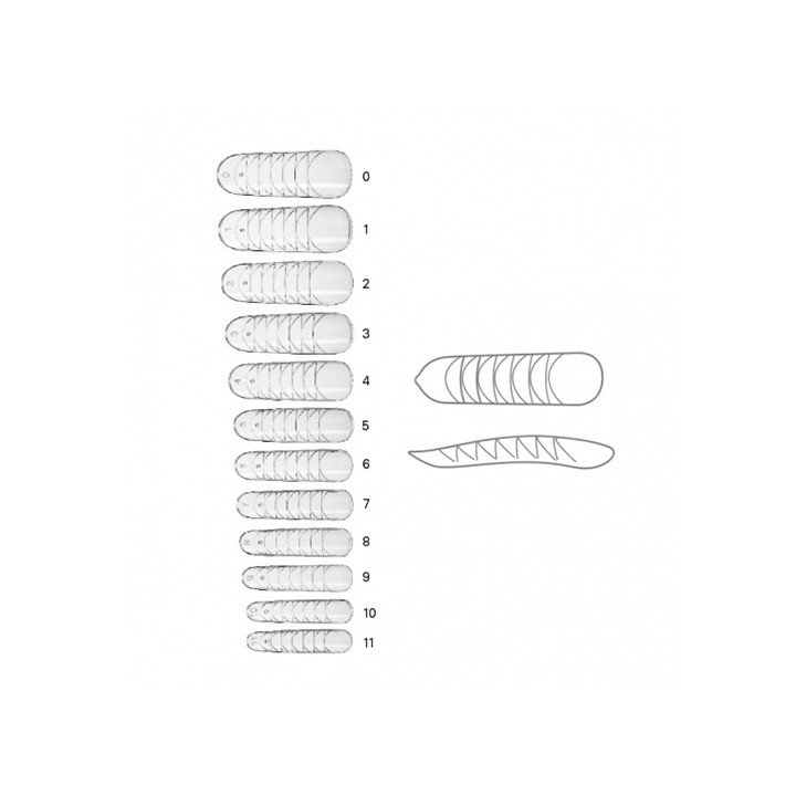 Dual Form 120 pz 12 Misure - Ricostruzione Unghie | SL