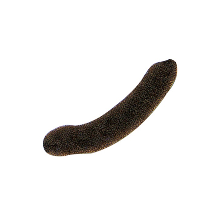 Ciocca Campione Castano 23 cm per Test Colore e Styling