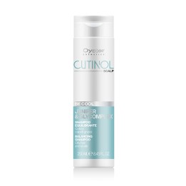 Shampoo Capelli Grassi 250ml Be Cool | Tiolisina