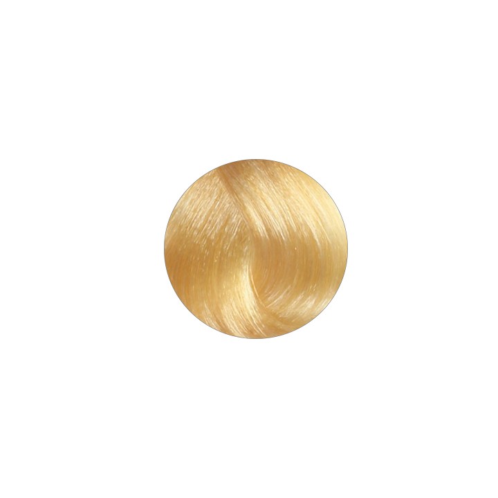 Pinzone Liscio Light Blond - extension a clip