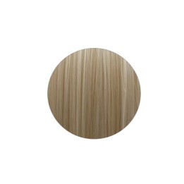 Pinzone Liscio Mixed Blond - extension a clip