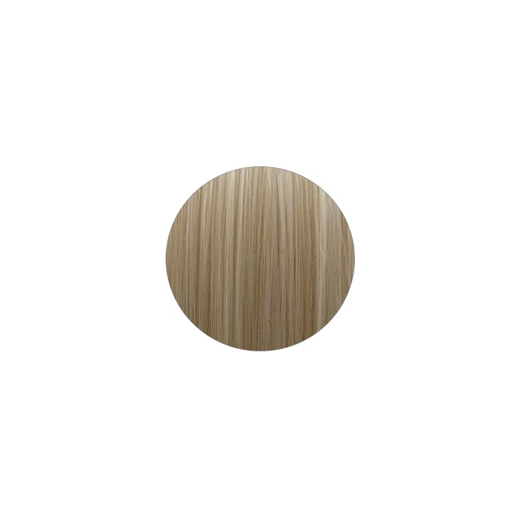 Pinzone Liscio Mixed Blond - extension a clip