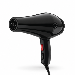 Phon professionale nero 2000 W
