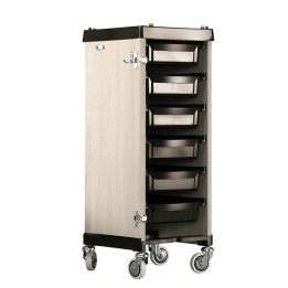 Carrello professionale Safe Box