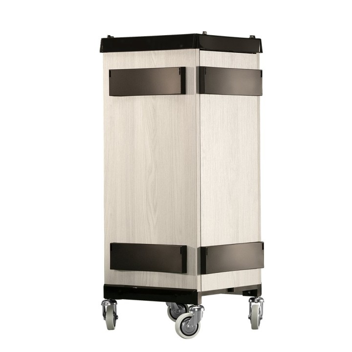 Carrello professionale Safe Box
