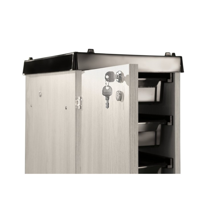 Carrello professionale Safe Box