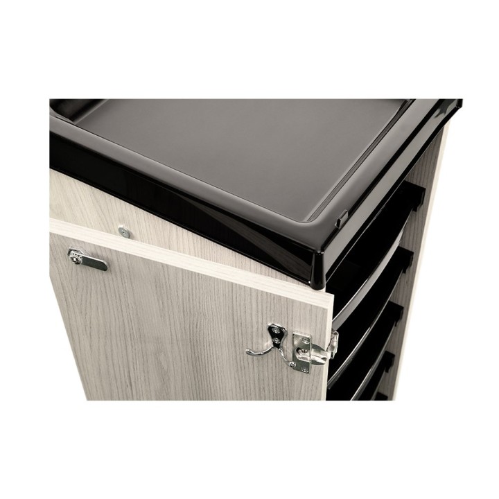 Carrello professionale Safe Box