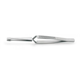 Pinza French Manicure Inox Professionale | SL Beauty