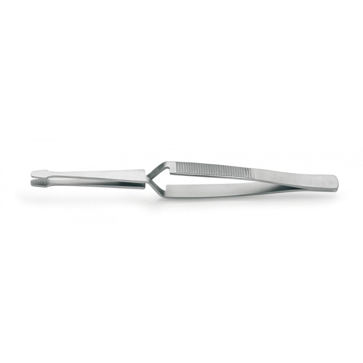 Pinza French Manicure Inox Professionale | SL Beauty