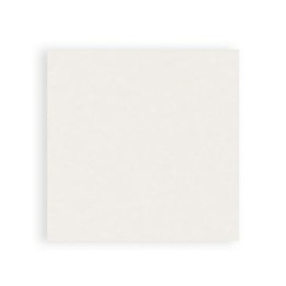 Pannetti Spunlace Viscosa 20x20 cm Conf. 80 pz | SL Beauty