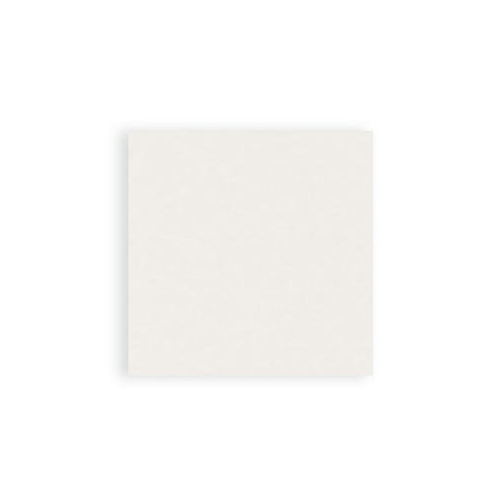 Pannetti Spunlace Viscosa 20x20 cm Conf. 80 pz | SL Beauty