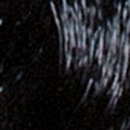 1.0 Nero - PK1.0