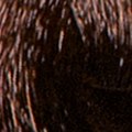 6.3 Biondo Scuro Dorato - PK6.3