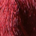 6.6 Biondo Scuro Rosso - PK6.6