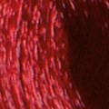 8.6 Biondo Chiaro Rosso - PK8.6