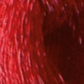 8.64 Biondo Chiaro Rosso Rame - PK8.64