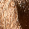 9.7 Biondo Chiarissimo Cacao - PK9.7