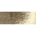 12.31 Biondo Extraschiarente Beige - JR12.31