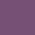 Viola - 0866P-1-UNICA