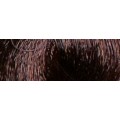 5.3 Castano Chiaro Dorato - JR5.3