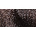 5.31 Castano Chiaro Beige - JR5.31