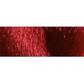6.66 Biondo Scuro Rosso Intenso - JR6.66