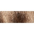 8.31 Biondo Chiaro Beige - JR8.31