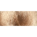 9.31 Biondo Chiarissimo Beige - JR9.31