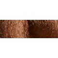 8.3 Biondo Chiaro Dorato - JOC8.3