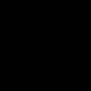 Nero 021 - 418481