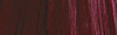 6.6 - Biondo Scuro Rosso - IN6.6