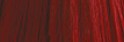 8.66 - Biondo Chiaro Rosso Intenso - IN8.66