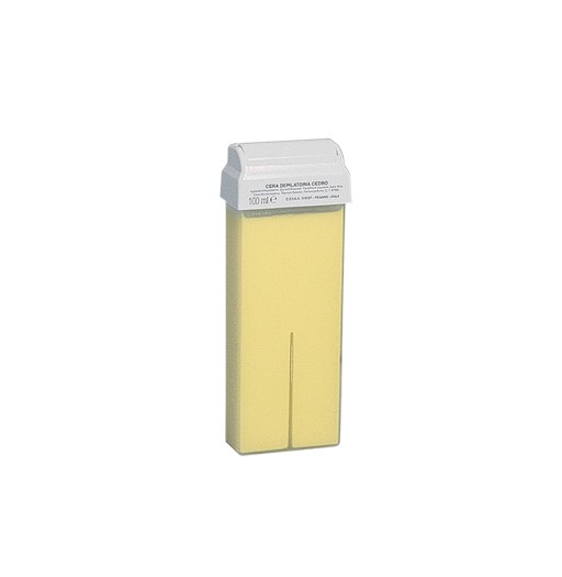 Litzea